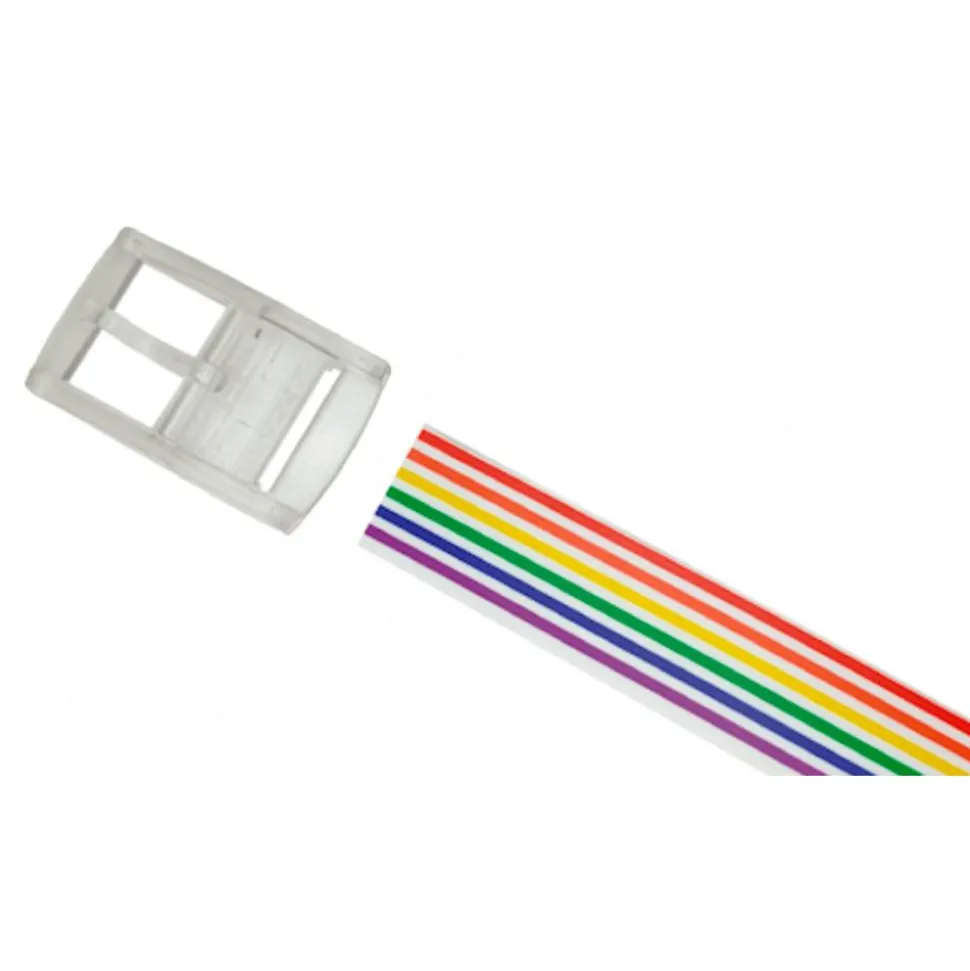 Ceinture Skimp Print Stripes Rainbow