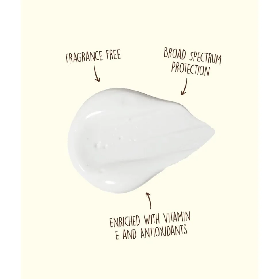 Crème solaire Sun Bum Original SPF 50 Sunscreen Face Lotion