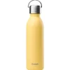 Gourde Qwetch Active 600ml Matt Citron