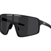 Lunettes de soleil Bliz P001 Matte Black Smoke