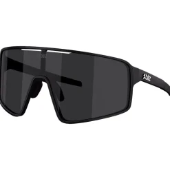 Lunettes de soleil Bliz P001 Matte Black Smoke