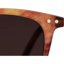 Lunettes de soleil Izipizi Sun #E Wild Bright Earthy Lenses