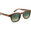 Lunettes de soleil Moken Vision Quincy Brown Green Cat.3 Polarized