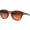 Lunettes de soleil Oakley Latch Matte Brown Tortoise Prizm Brown Gradient