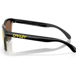 Lunettes de soleil Oakley Frogskins Range Matte Black Prizm 24K Polarized