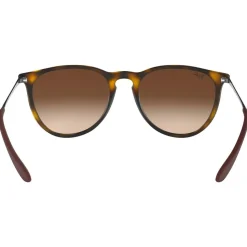 Lunettes de soleil Ray Ban RB4171 Erika Classic Matte Havana Brown