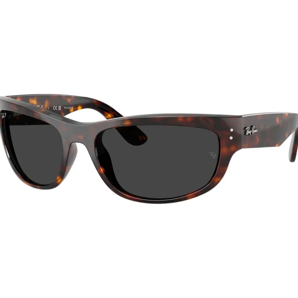 Lunettes de soleil Ray Ban RB2289 Mega Balorama Polished Havana Polar Black
