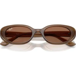 Lunettes de soleil Ray Ban RB4441D Matte Brown Opaline Dark Brown