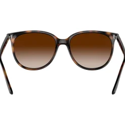 Lunettes de soleil Ray Ban RB4378 Polished Havana Gradient Brown
