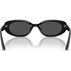 Lunettes de soleil Ray Ban RB4441D Polished Black Dark Grey