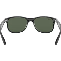 Lunettes de soleil Ray Ban RB4202 Andy Matte Black Green