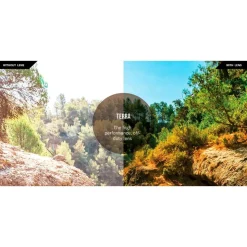 Lunettes de soleil Revo Descend N Crystal Brown Serilium+ Terra Polarized