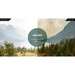 Lunettes de soleil Revo Dexter Matte Tortoise Crystal Smoke Green Polarized