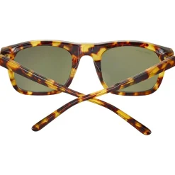 Lunettes de soleil Serengeti Charlton Shiny Havana 555nm