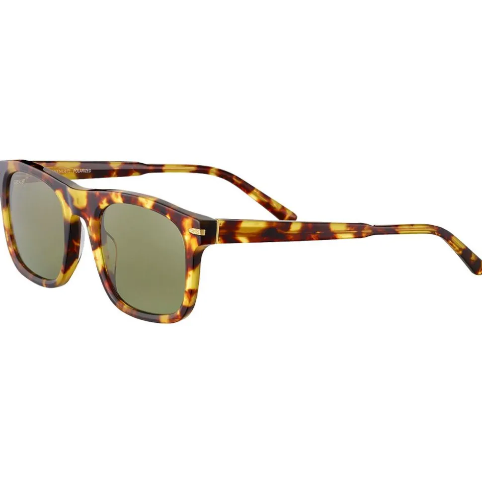 Lunettes de soleil Serengeti Charlton Shiny Havana Polarized 555nm