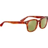 Lunettes de soleil Serengeti Ethan Shiny Classic Havana 555nm