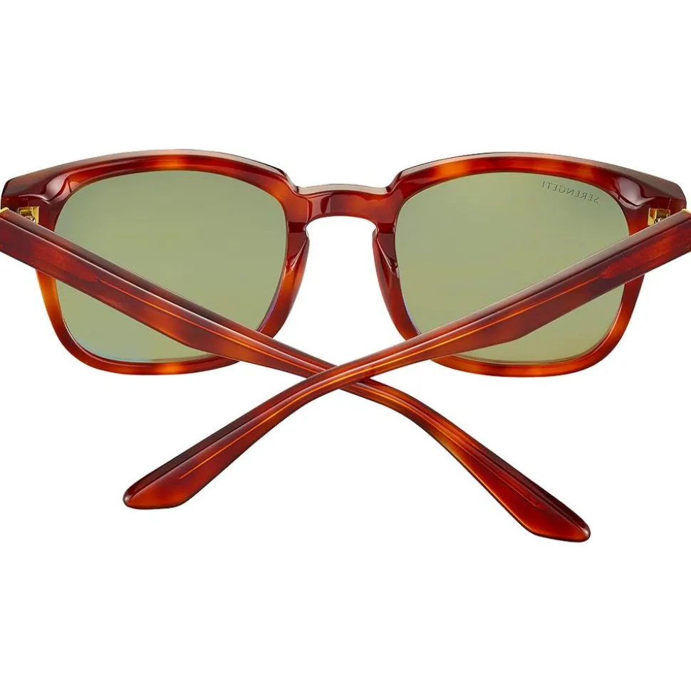 Lunettes de soleil Serengeti Ethan Shiny Classic Havana 555nm