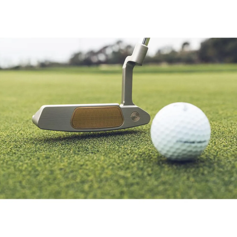 Putter Odyssey Golf Ai-ONE Milled Silver Two T