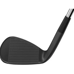 Wedge Wilson Infinite